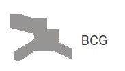 Двусторонний очиститель вала цилиндра с плечом (BCG)